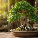 t What Is Bonsai? The Complete Beginner’s Guide to Care, Pruning & Wiring What Is Bonsai? The Complete Beginner’s Guide to Care, Pruning & Wiring
